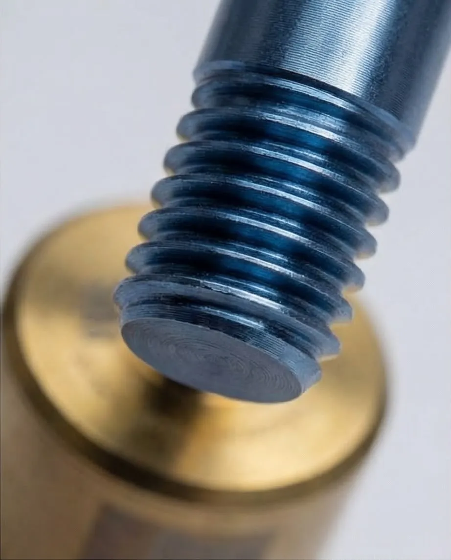 PpDio regular.webp
