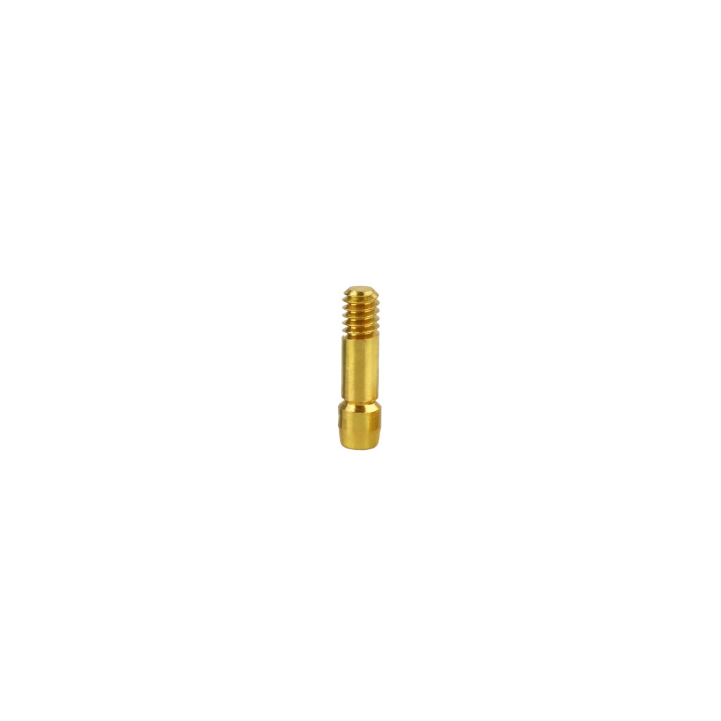Tornillo (auto)